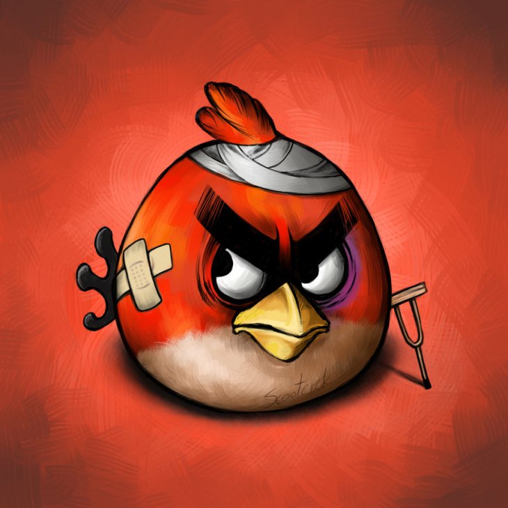 Download angry bird game full version for mobile home